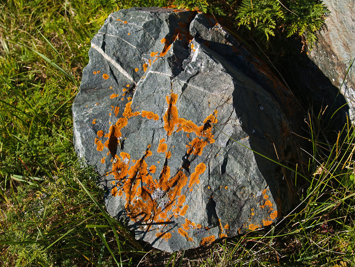alt_3_117.jpg
