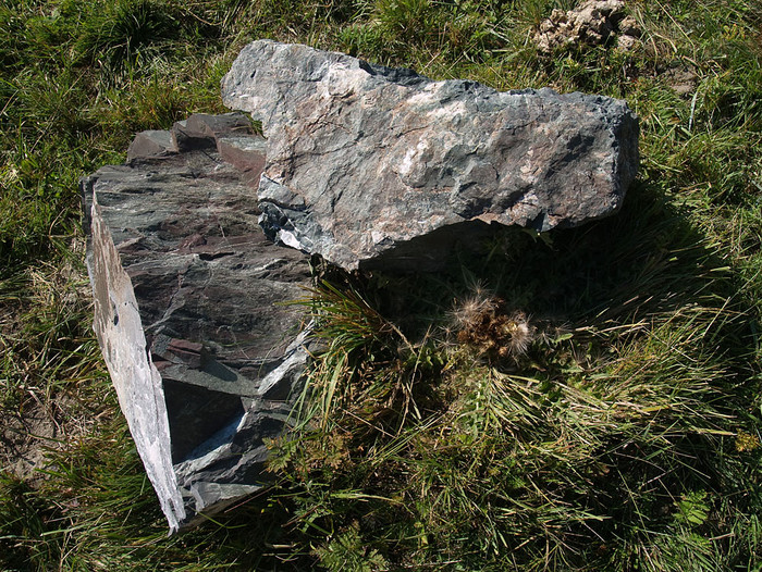 alt_3_118.jpg