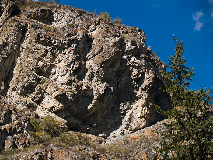 alt_3_144.jpg