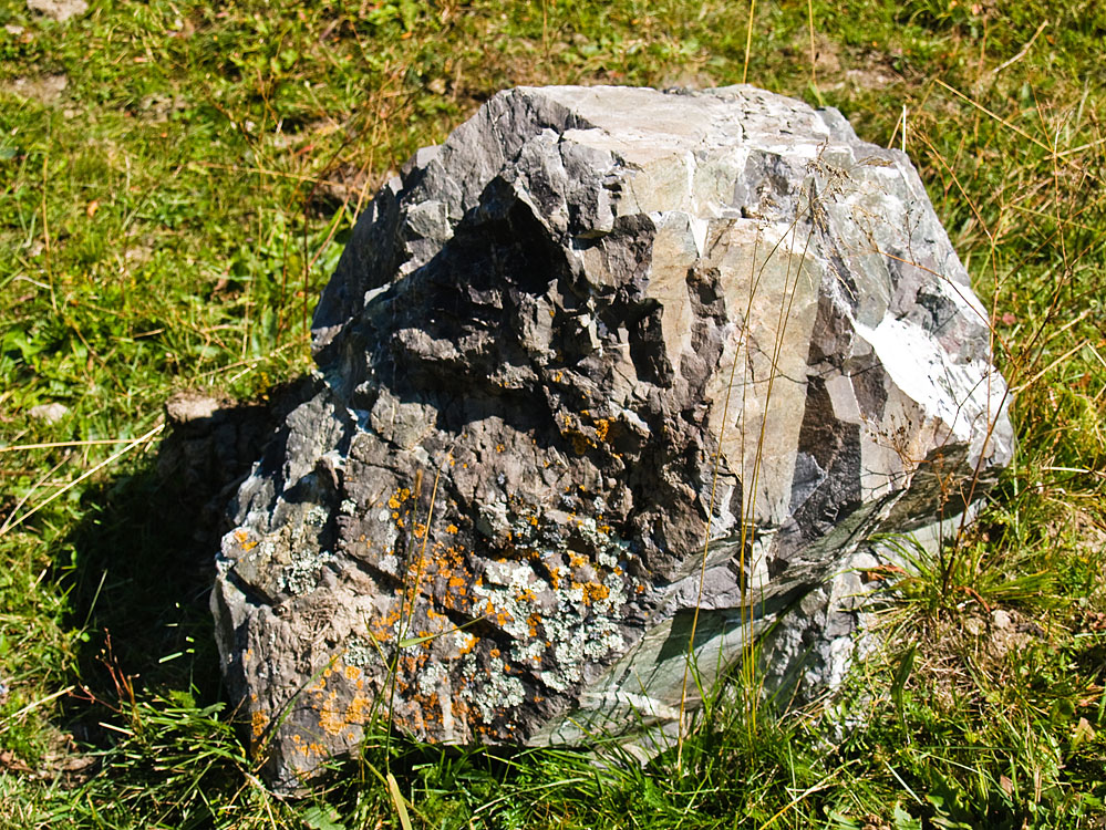 alt_3_145.jpg