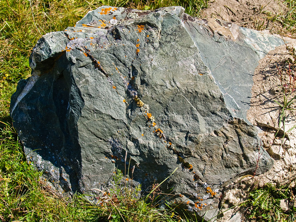 alt_3_146.jpg