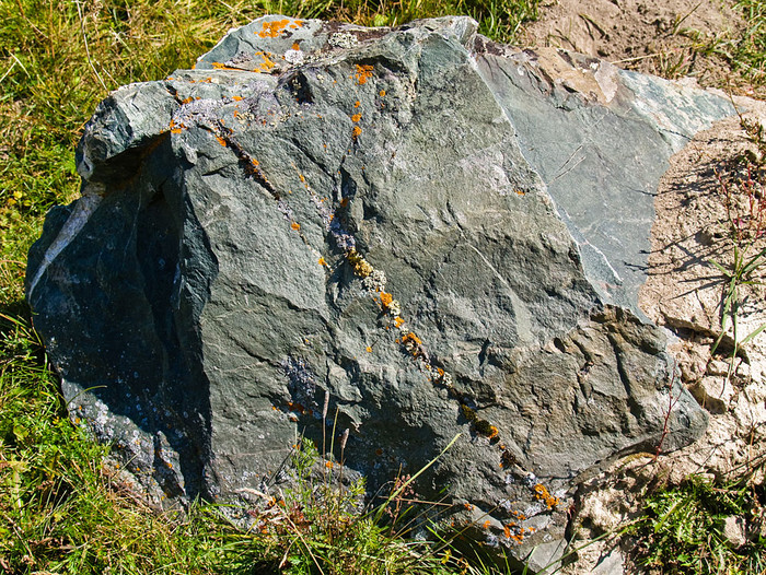 alt_3_146.jpg