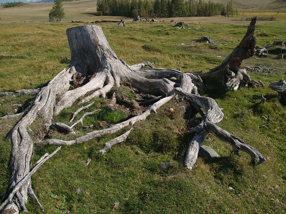 alt_3_154.jpg
