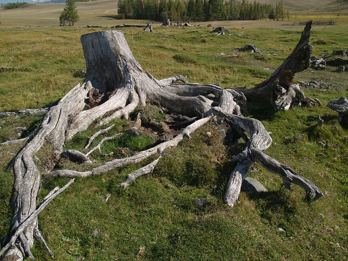 alt_3_154.jpg