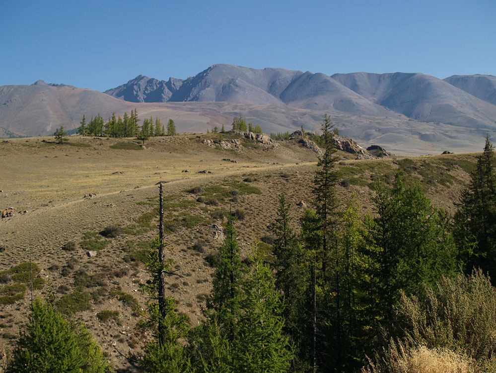 alt_3_176.jpg