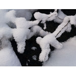 sun_039.jpg