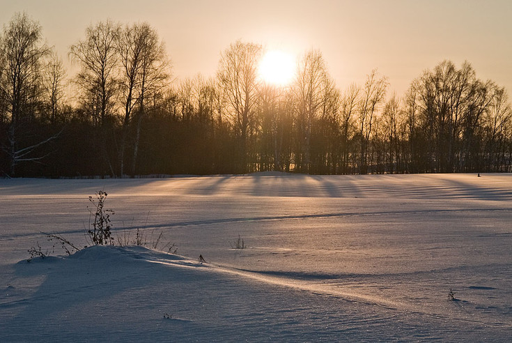 sun_050.jpg