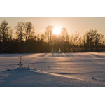 sun_050.jpg