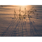sun_051.jpg