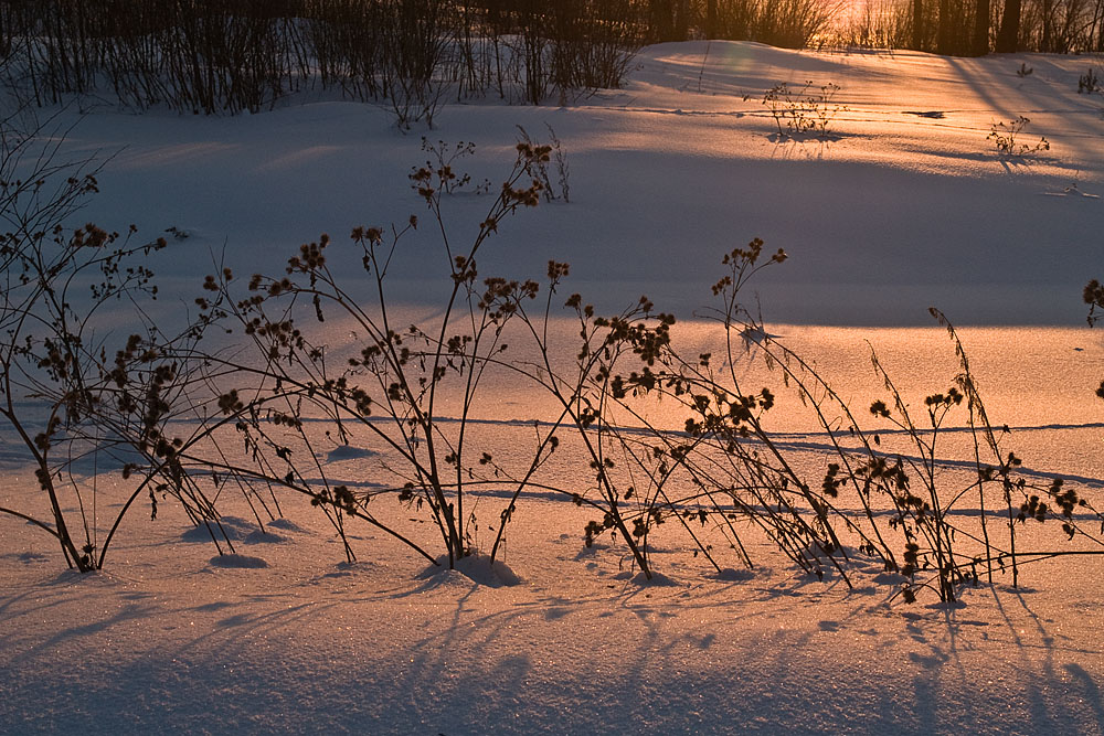 sun_052.jpg