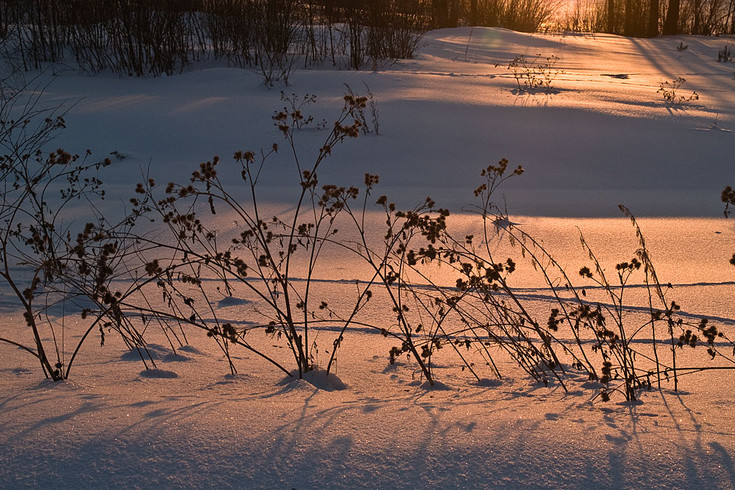 sun_052.jpg