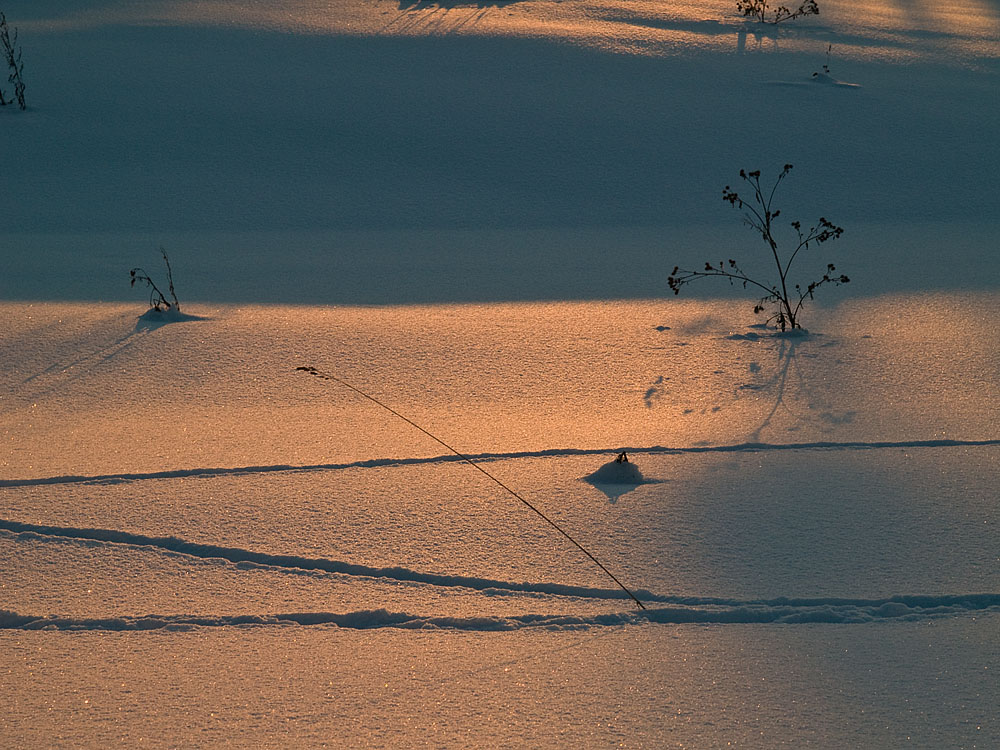 sun_053.jpg