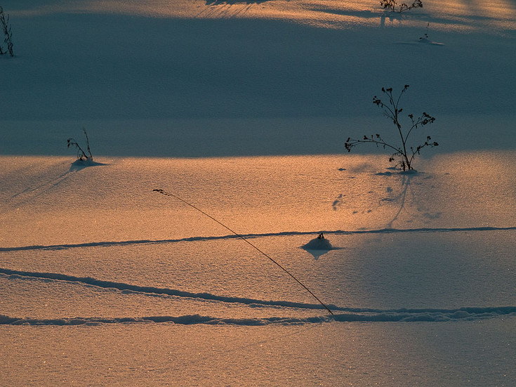 sun_053.jpg
