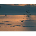sun_053.jpg