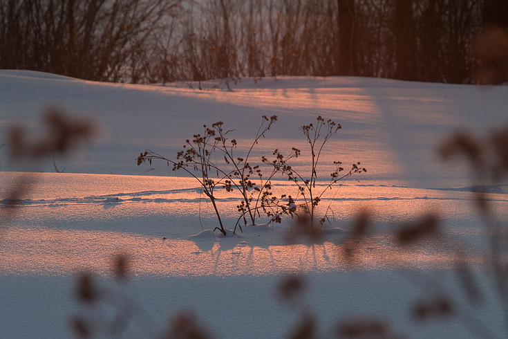 sun_054.jpg