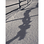 sun_059.jpg