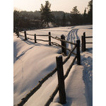 sun_061.jpg