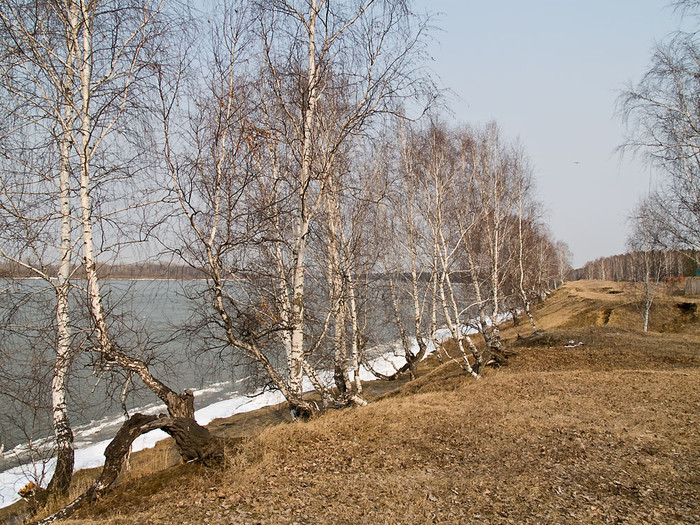 apr-001.jpg