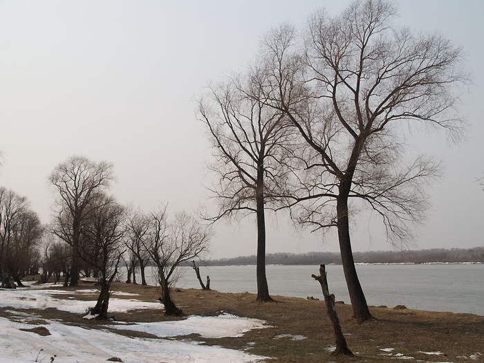 apr-007.jpg