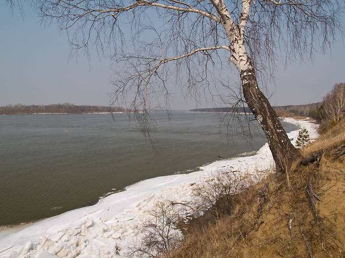 apr-011.jpg