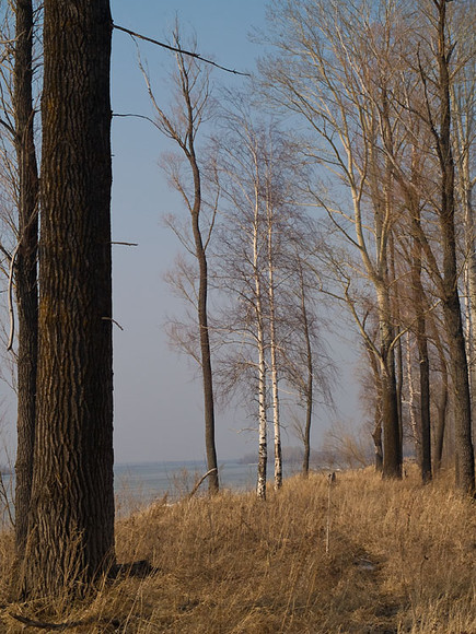apr-022.jpg