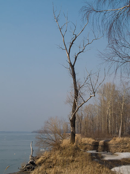 apr-024.jpg