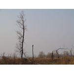 apr-033.jpg