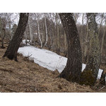 apr-035.jpg