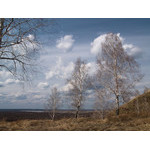 apr-041.jpg