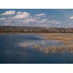 apr-055.jpg