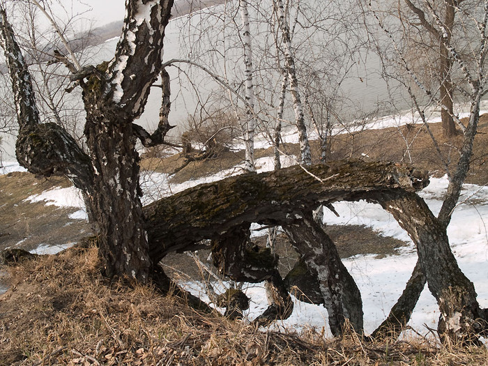 znak-018.jpg
