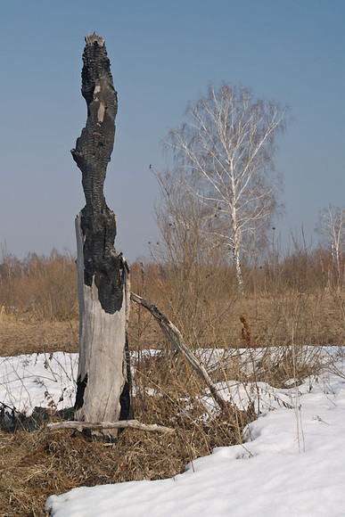 znak-020.jpg