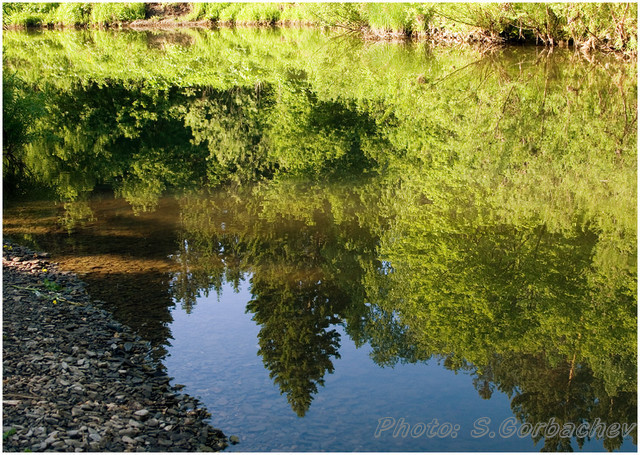 morning_calmness_on_the_river-bank