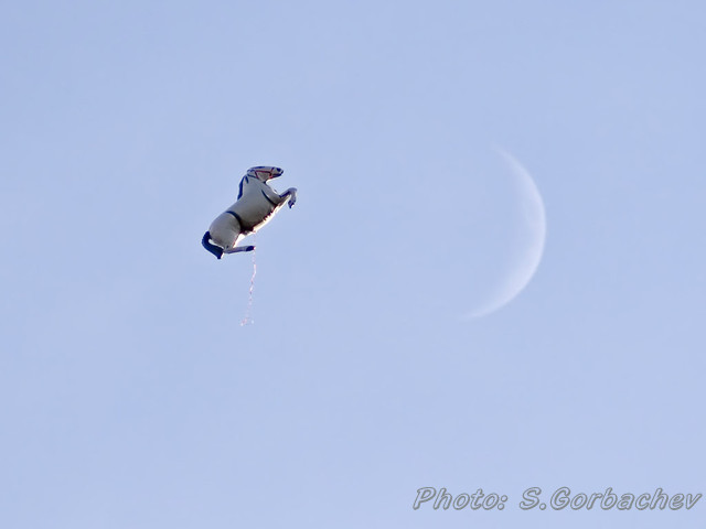 horse&moon