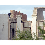 non_earl's_ruins