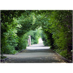 shadow_side-street