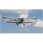Air Show
