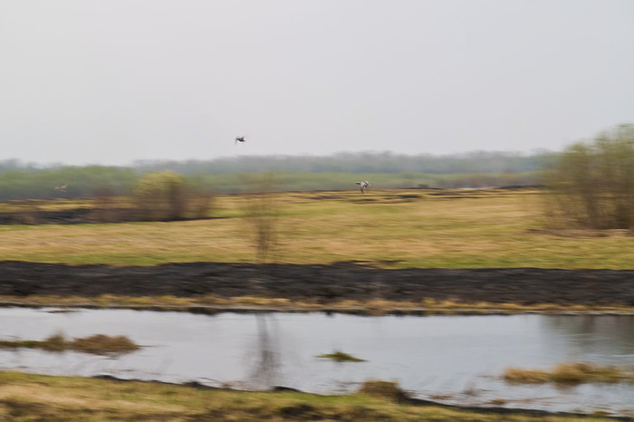 May_008.jpg
