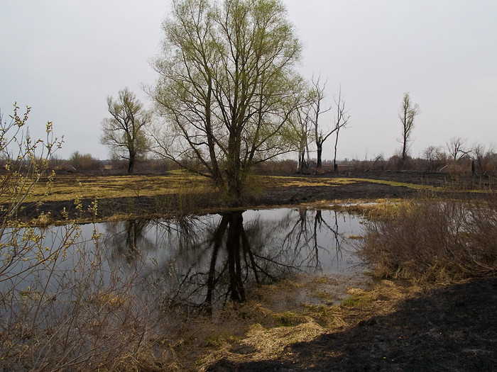 May_009.jpg