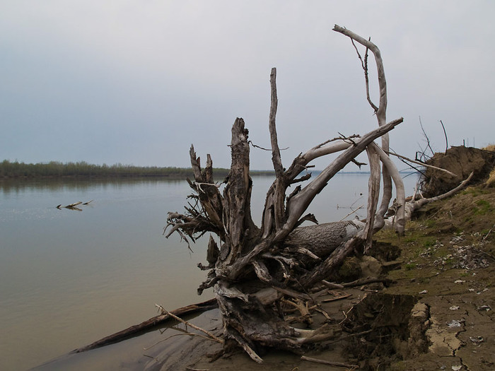 May_013.jpg