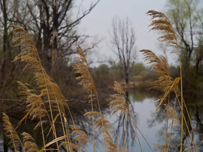 May_015.jpg