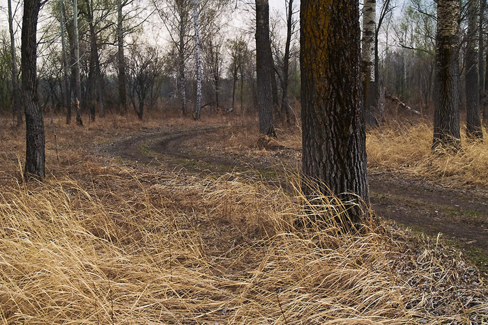 May_017.jpg