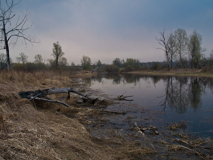 May_021.jpg