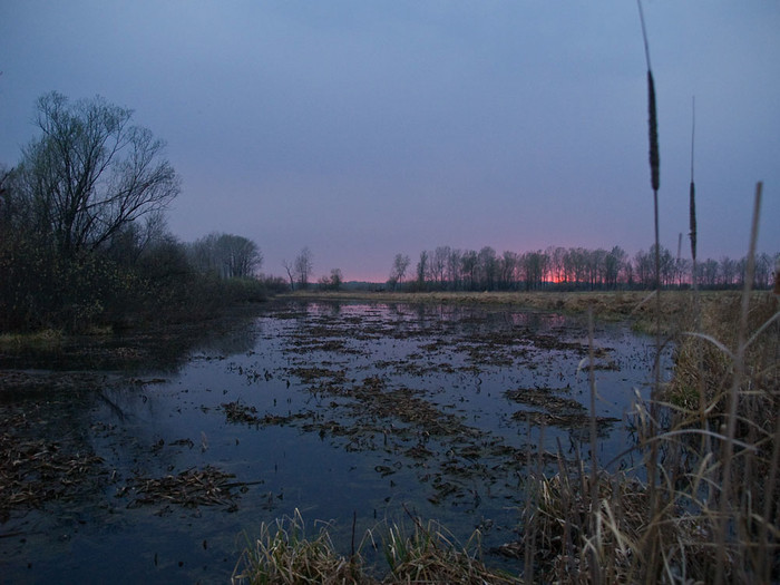 May_026.jpg