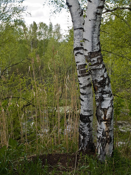 May_028.jpg