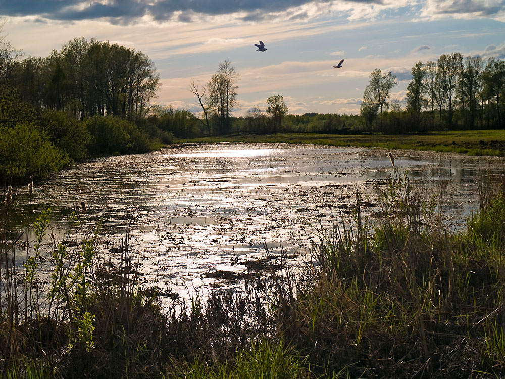 May_030.jpg