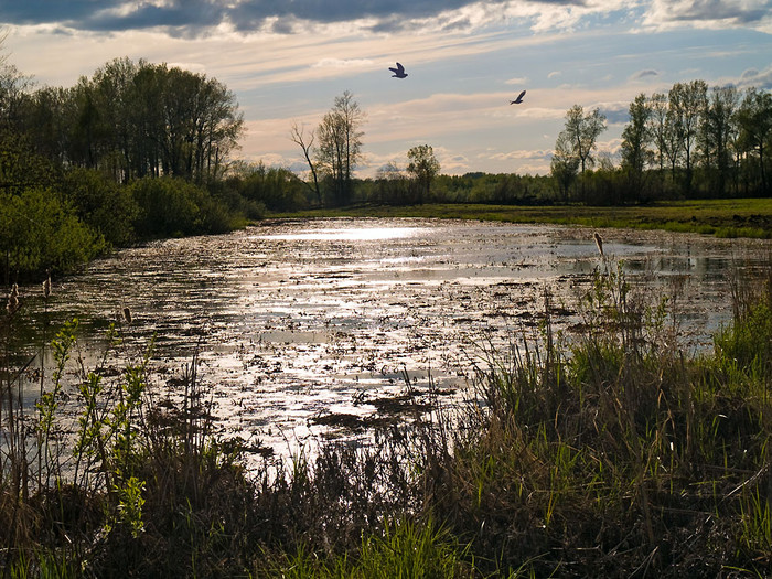 May_030.jpg