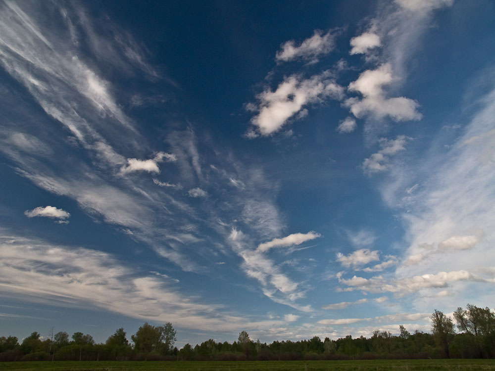 May_031.jpg