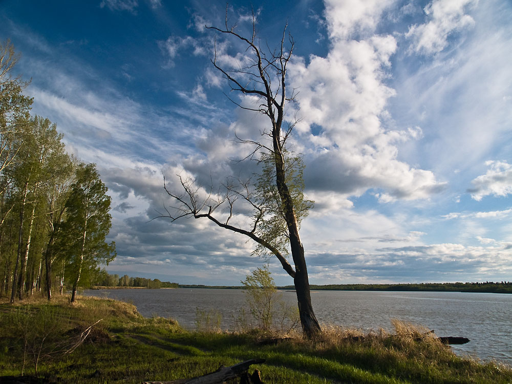 May_033.jpg