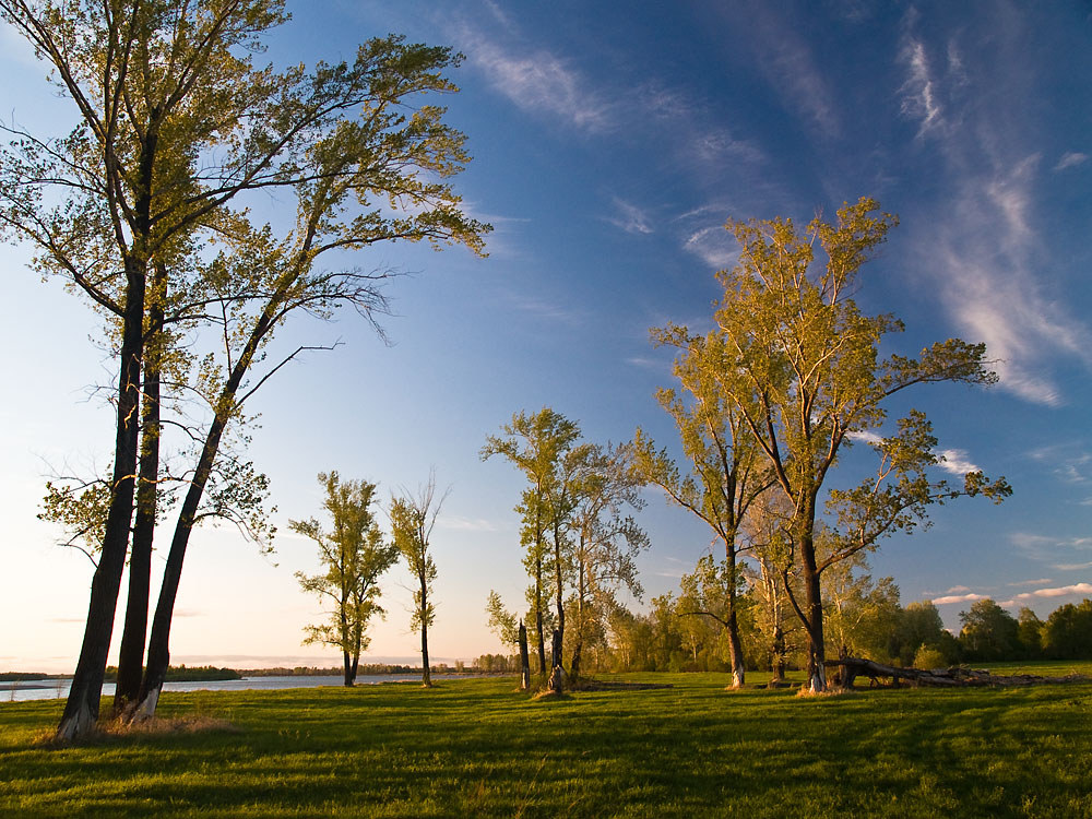 May_042.jpg